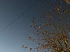 가을과 겨울 사이