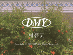 아이패드 배경화면 & 배경화면 <여름꽃>