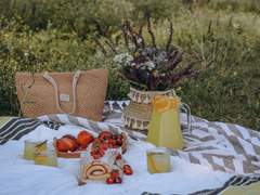 To. 프레야 바나디스