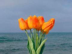 사랑과 정성으로 꽃을 키웁니다 7