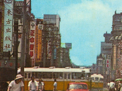 타이페이 뉴 익스프레스 5 (完)