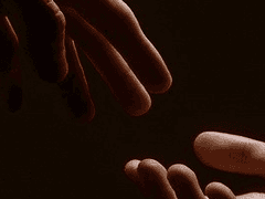 [연성교환] 애원