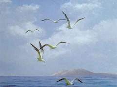 「내가 사랑하는 당신은」 도종환