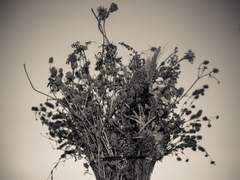 [악의 마음을 읽는 자들][하영태구]정ː히