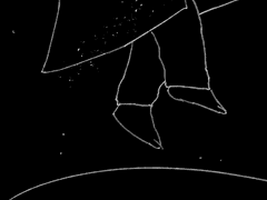 쏠쏠한 밤🌙 커미션 : 그림 커미션