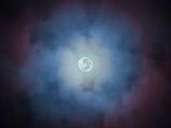 여전히 달은 빛났다.