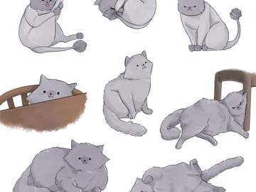 반려동물 커미션