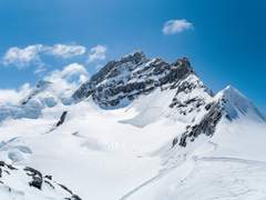 [모이메르/메르모이] einspänner memories