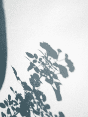 진혼기(+반월당)