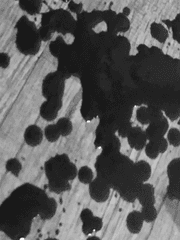 시작은 간절하게, 끝은 비참하게