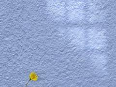 배달기사 ‘울컥’하게 한 사장님 한 마디에…