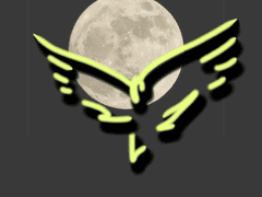 꼬리별의 마법사 38