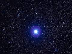 시그너스의 알파성