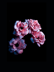 편하게 이어주세요