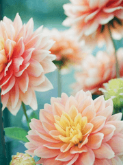 드라마 2차 창작