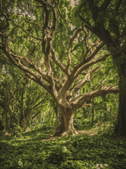 해피곰돌이의 행복하게 걸어봅세