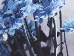 결국에 나는 이 모든 현실을 외면하였고