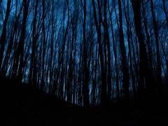 [망기무선] 새해 복 많이 받아