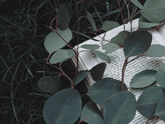 멋진 여행을 즐긴 친구에게.