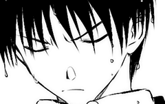 [강철의 연금술사] 로이리자