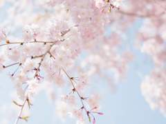 내일 비가 내린대