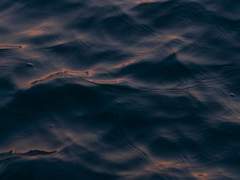 비 그을 새벽을 함께 기다렸다