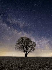 2022 포레스텔라 연성챌린지