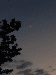 2022 포레스텔라 연성 챌린지