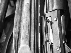 To. All the people I loved and love