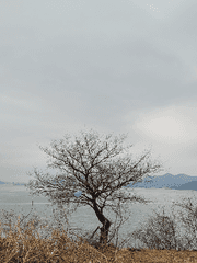 2022 포레스텔라 연성 챌린지