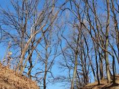 [2022.01.08~2022.01.16 ] 2022년 산책일기 1주차