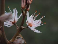 [전위송연] 201120