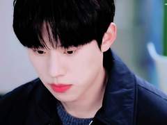 𝐟𝐚𝐥𝐥𝐞𝐧 𝐥𝐞𝐚𝐯𝐞𝐬