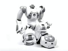 제목: 로봇을 믿지 마