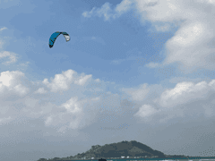 세상의 모든 맛을 핥고 싶어