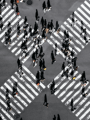 사랑은 도쿄로부터