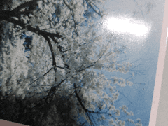 @마감요정의 날개가루를 마시고