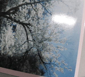 @마감요정의 날개가루를 마시고