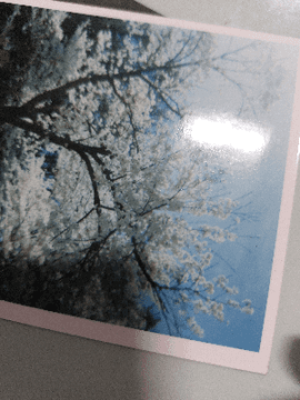 끄적끄적(망상/일상)