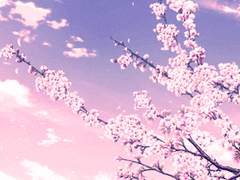 ᗪᗩᖇᒪEᑎE ᗩᑌᗪᖇEY