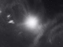 무가치 주목 주의