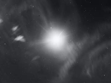 무가치 주목 주의