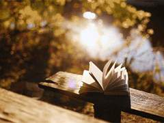 노는게 젤 좋은 그 녀석 프로필