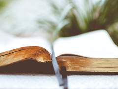 이스토리아 대주교의 꿈