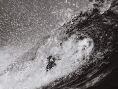 신기루, 그리고...