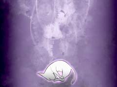 1화 - 그 겨울 아래 고양이