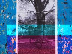 270506 6:38 Elberwick