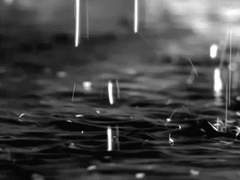 빈 수레는 요란하다.