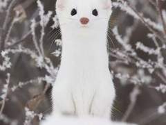 [큐빵] 행복한 세상의! 上