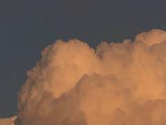 [브와링젤] 환상